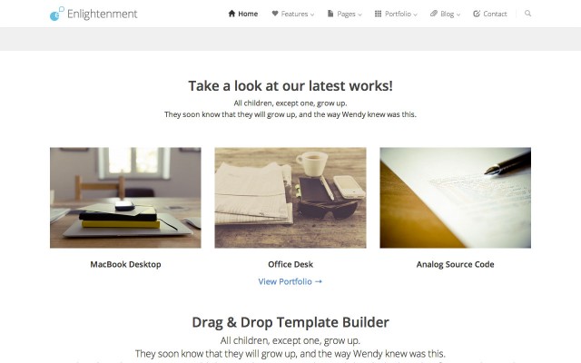 Custom Query Widget Portfolio