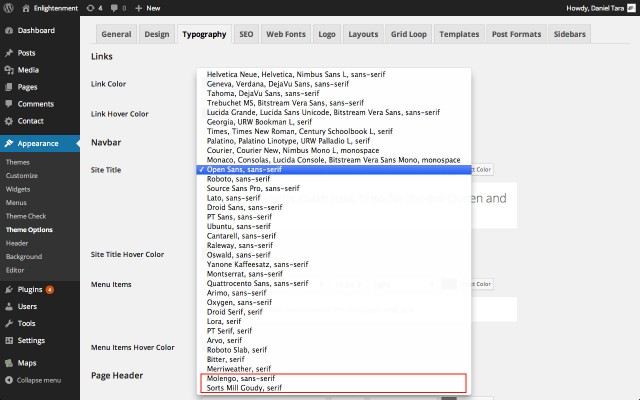 Google Web Fonts Typography Options