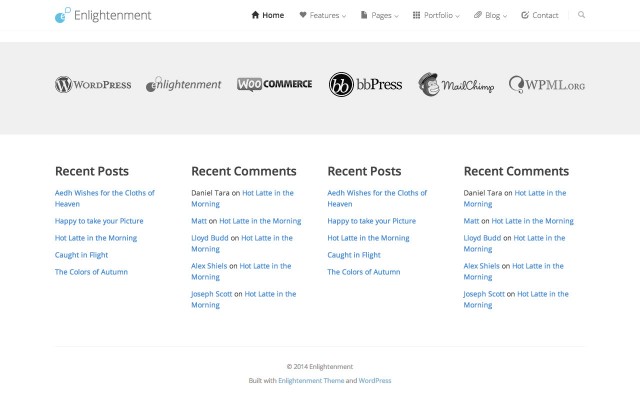 Home Page Footer Widgets